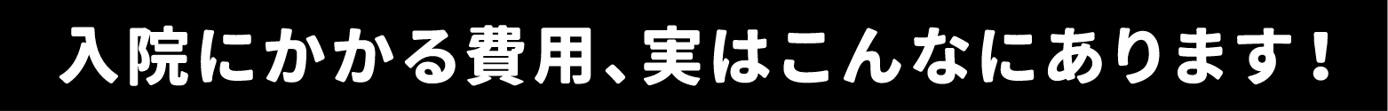 入院にかかる費用、実はこんなにあります！