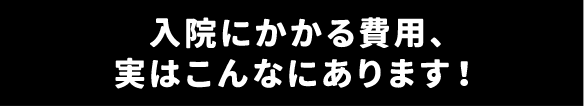 入院にかかる費用、実はこんなにあります！